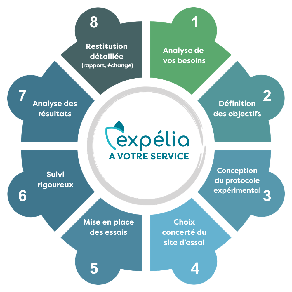 EXPELIA - SERVICES (1)