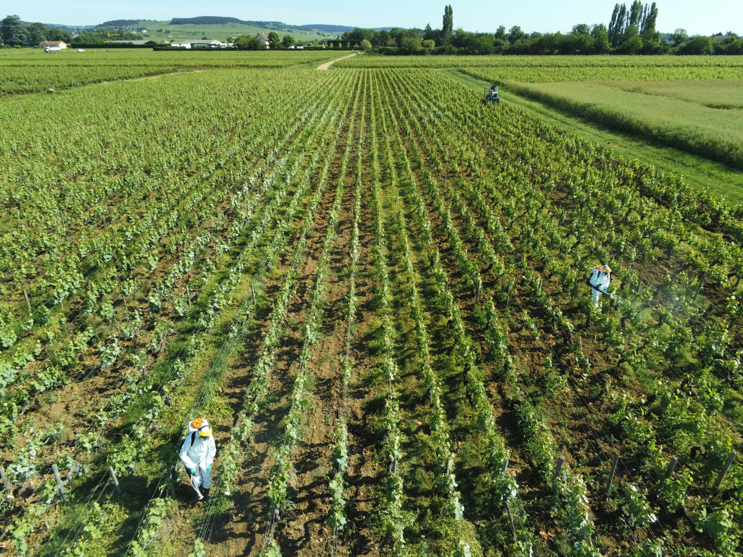 Traitement vigne drone